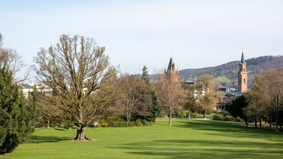 Blick vom Schlosspark auf das Schloss