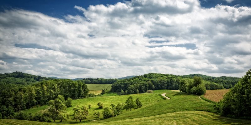 11_Odenwald-Oflockenb_Kalter-Herrgott_Kay_Müller01