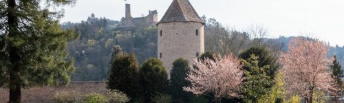 Blauer Hut im Schlosspark